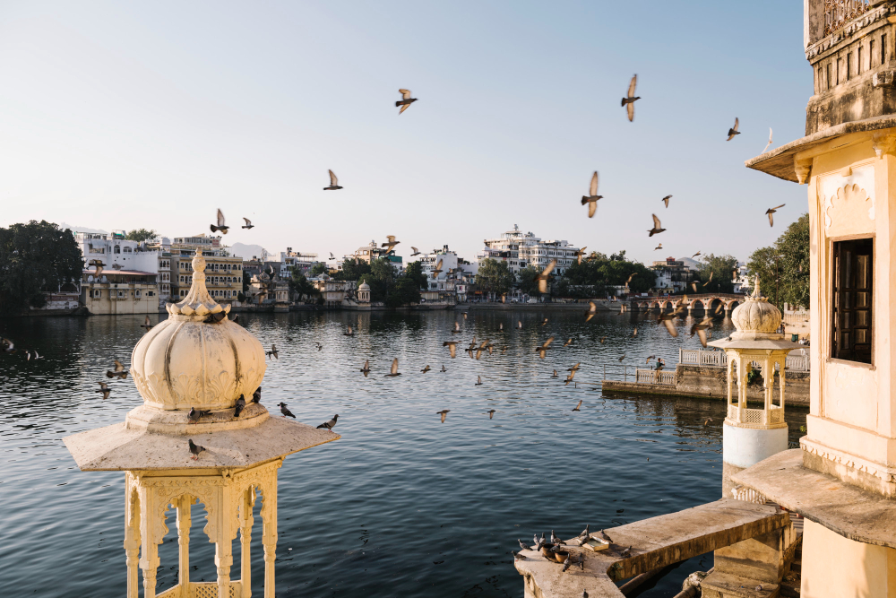 India Closes Google Antitrust Case After Gaming Law Overhaul