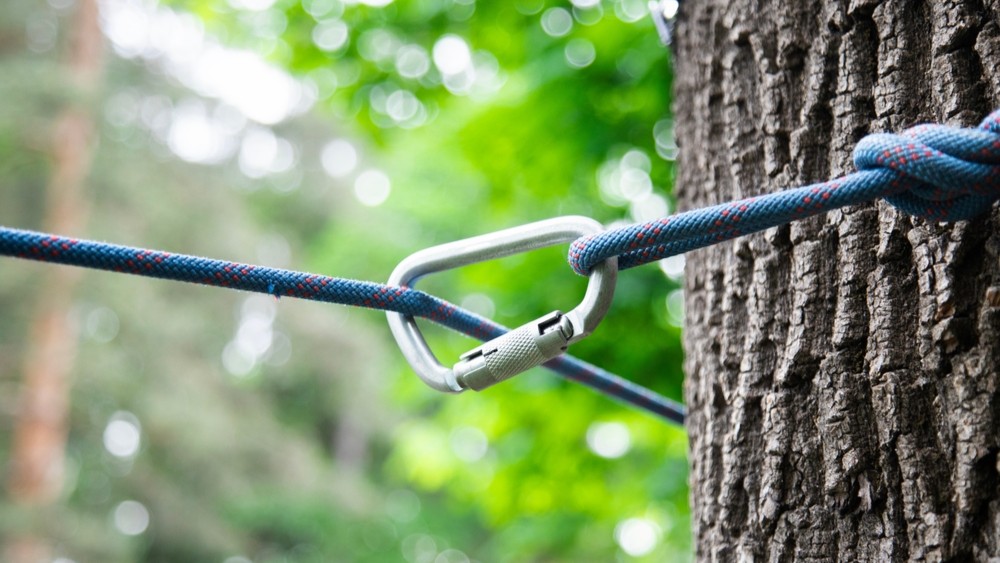 CreedRoomz & EveryMatrix: a celebration of reliability and vast reach