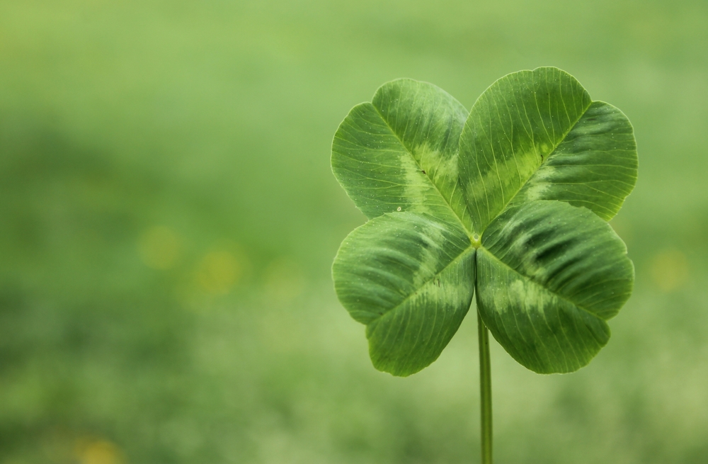 Apple iSports ‘gets lucky’ in M&A to boost global challenger status