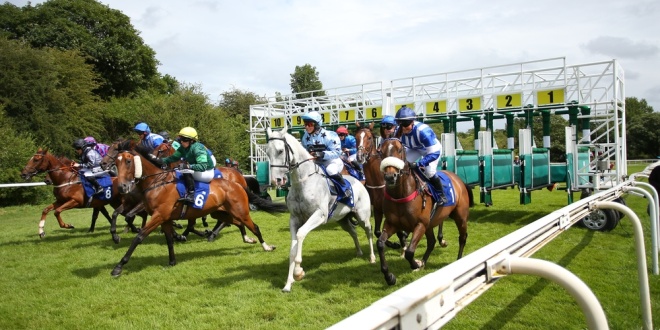 Racing appeals directly to Reeves as calls for betting tax rethink reach crescendo