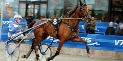 ATG vows to end Swedish racing declines but needs government to listen to concerns