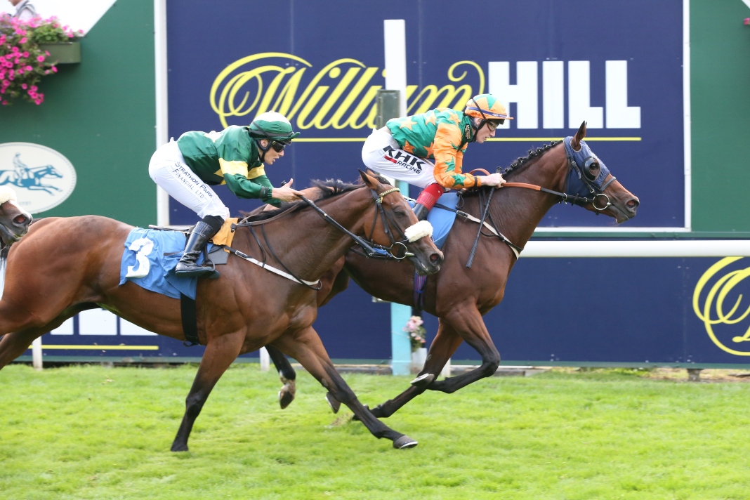 evoke’s Retail Segment Delivers Second-Best Quarter Since 2023