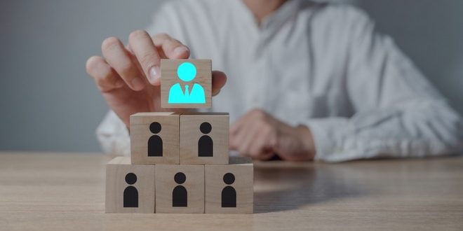 Yolo Entertainment Expands Its Leadership Team