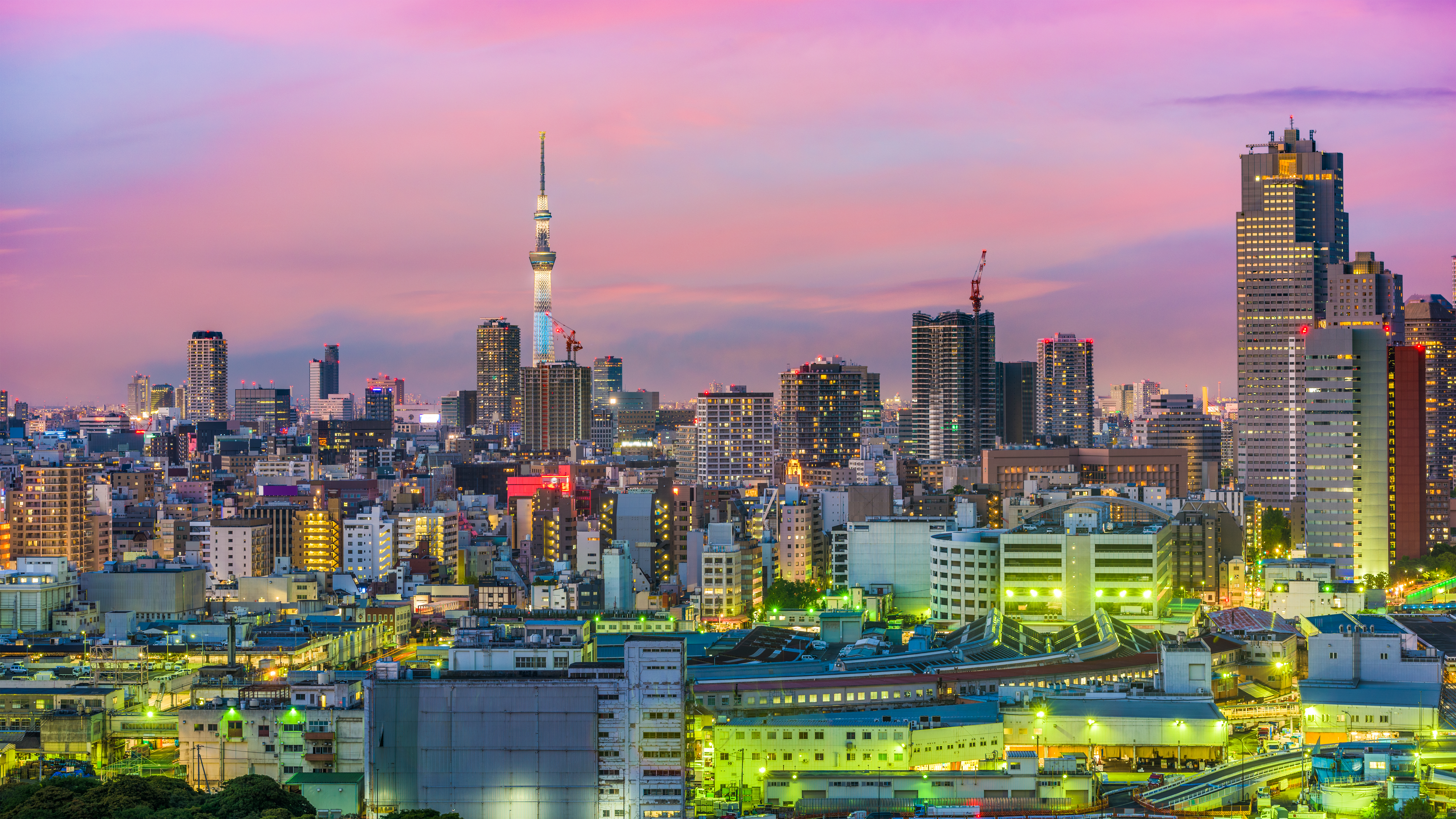 Japan weighs website blocking to curb illegal online casinos